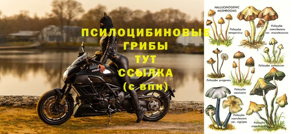 альфа пвп Нефтегорск