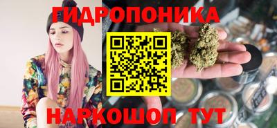 PSILOCYBIN Заводоуковск