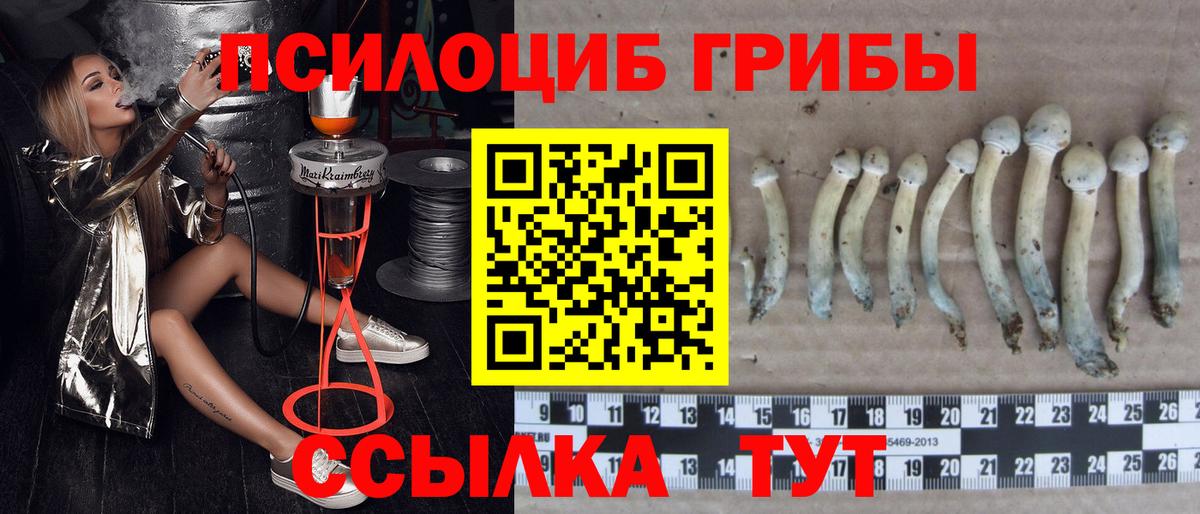 Псилоцибиновые грибы мицелий Нефтекумск