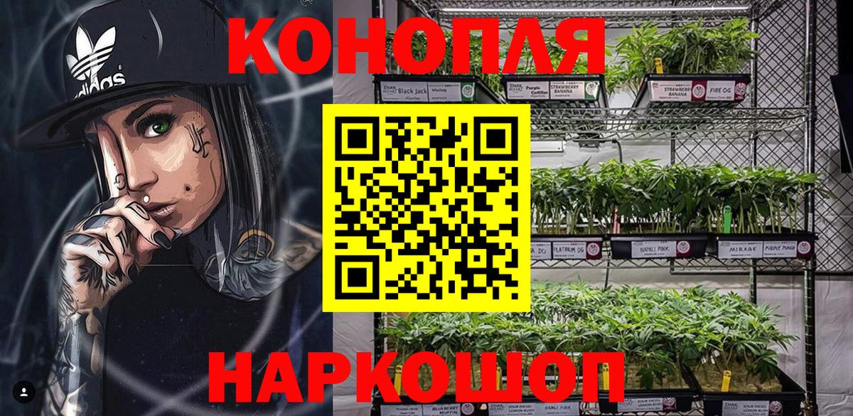 Бошки Шишки Amnesia  Канабис VHQ  Вход с VPN  Марихуана SATIVA & INDICA  Нефтекумск 